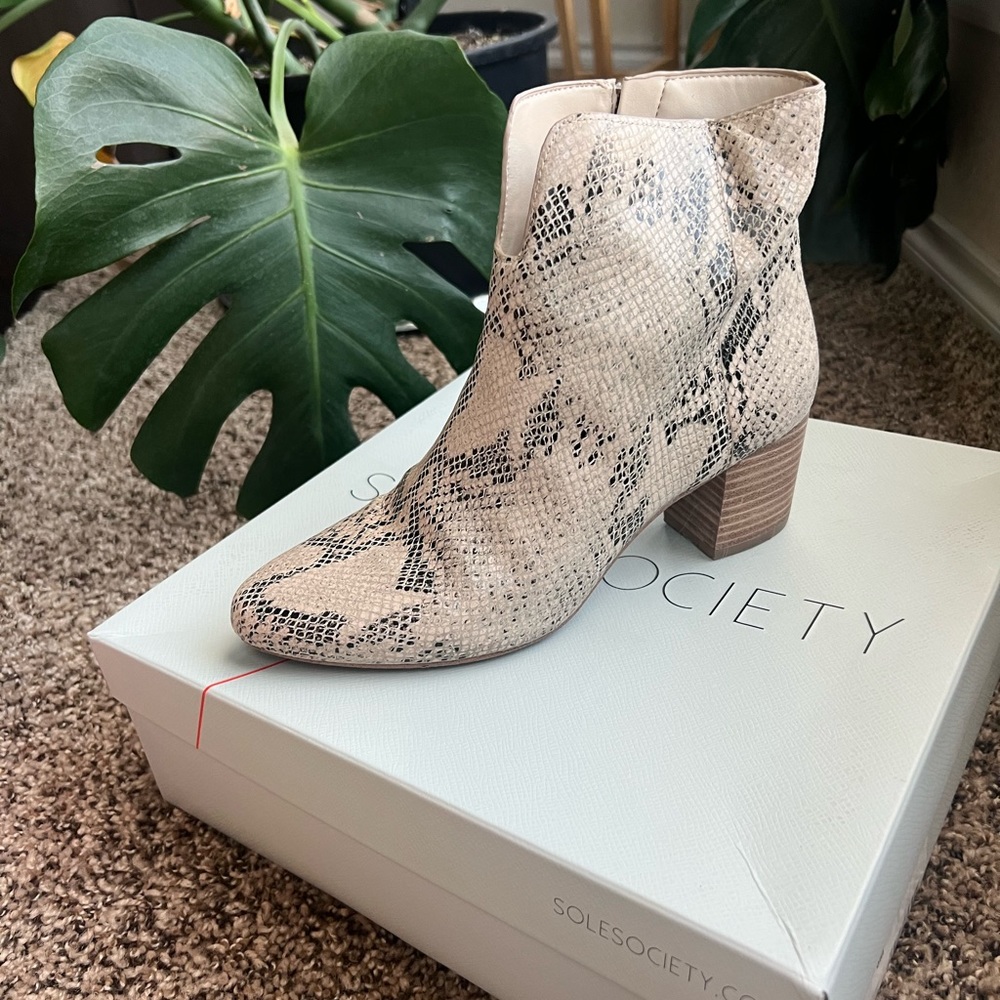 Sole society snake print boots